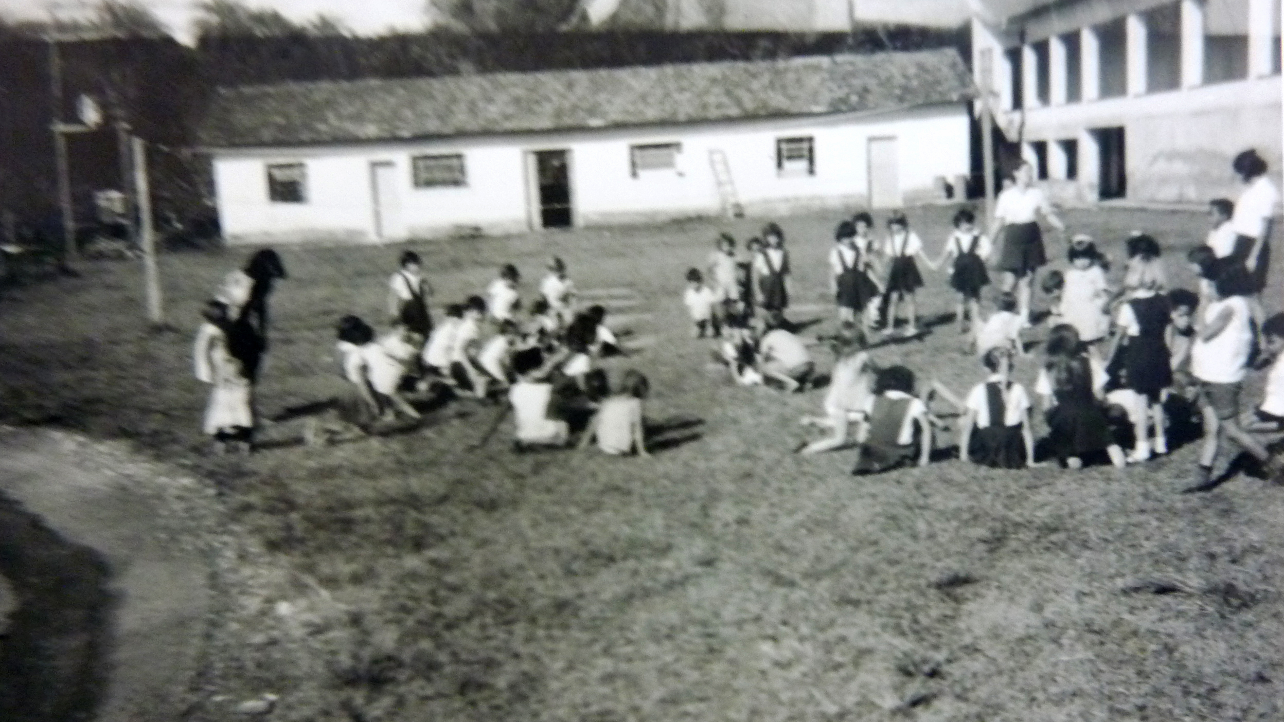 Crianças Fazendo Atividades na Fazenda do Rosário, 1971. Fonte: Memorial Helena Antipoff.